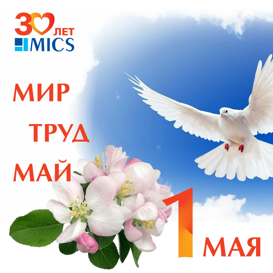 MICS_1_may
